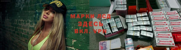 прущие грибы Алексеевка