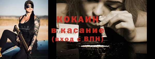 прущие грибы Алексеевка