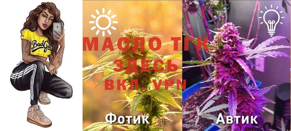 прущие грибы Алексеевка