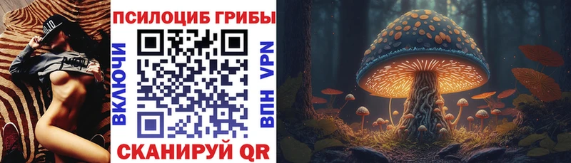 Галлюциногенные грибы Psilocybe  MEGA сайт  Динская 